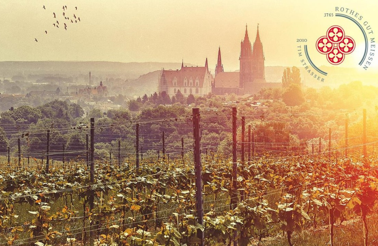 Whisky und Wein - mit dem Genussbus zum Rothen Gut Meissen