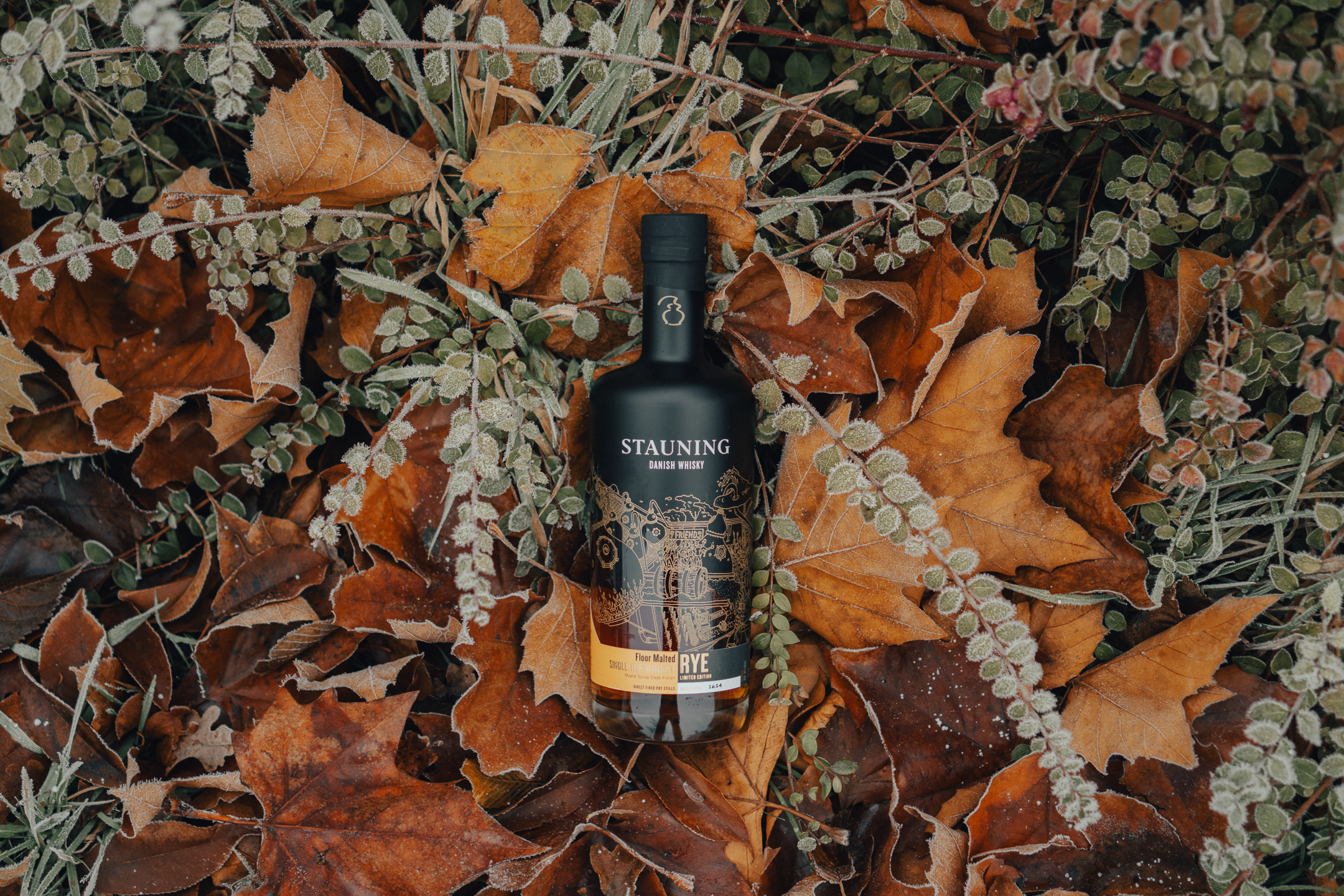 Nordischer Whiskyabend mit Stauning in der Dresdner Heide